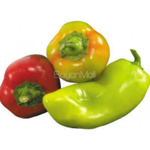 Bell Pepper (per kilo) - Fresh vegetables